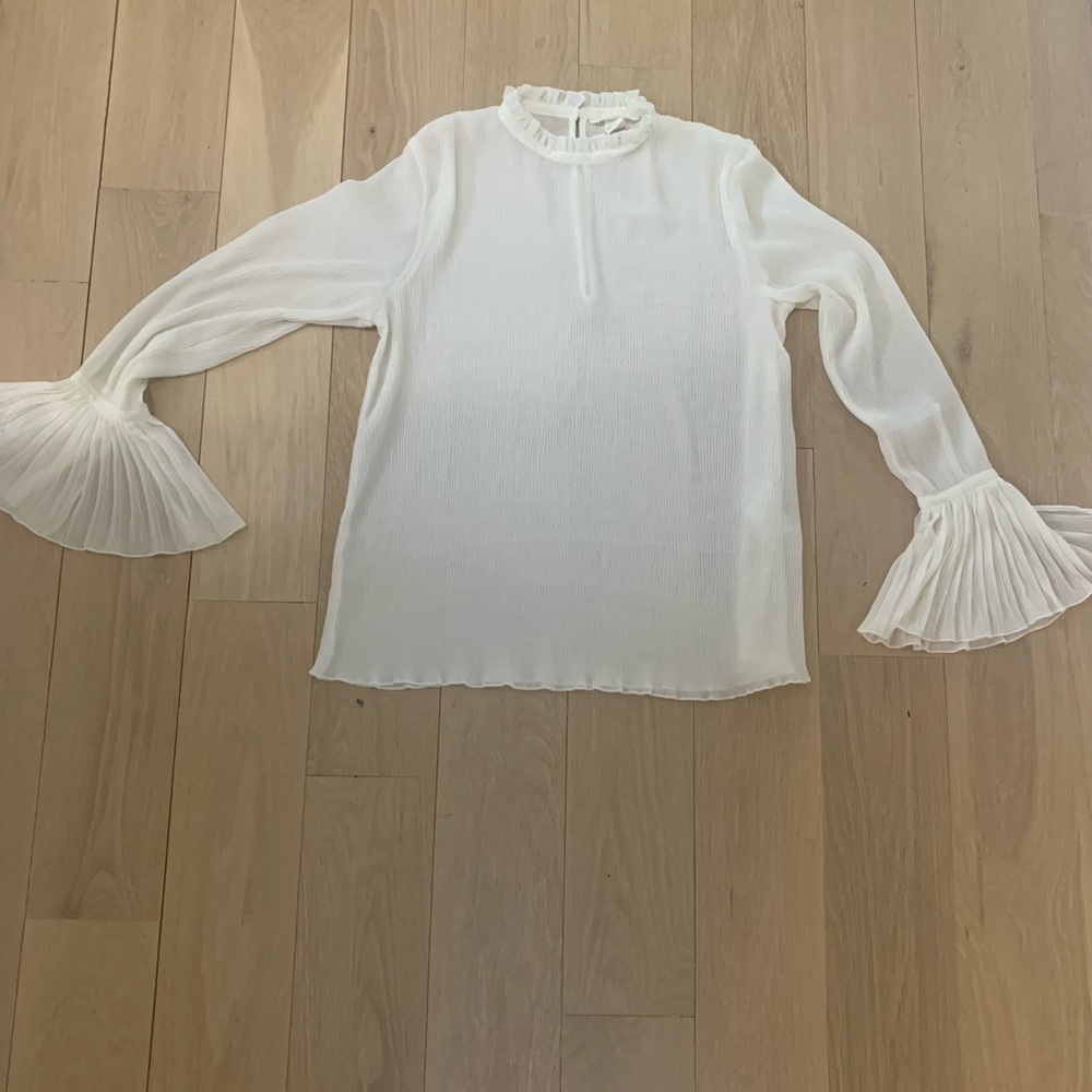 H&M sheer, ruffled sleeve blouse